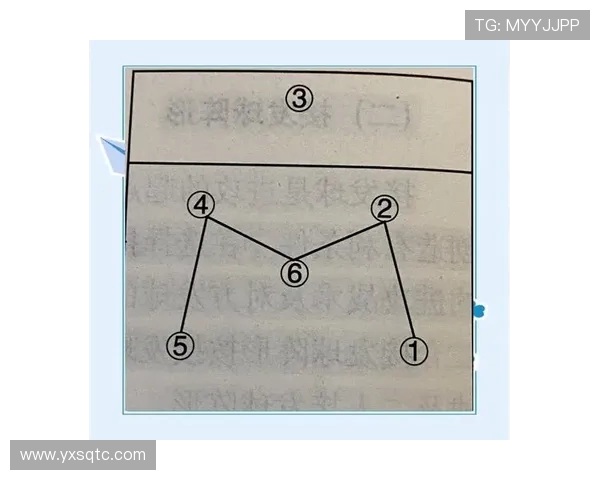 成都飞盘队区域防守策略解析与战术应用探讨