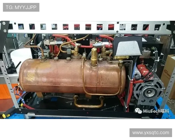 陈丽回顾英雄联盟历程的心路历程与成长故事分享